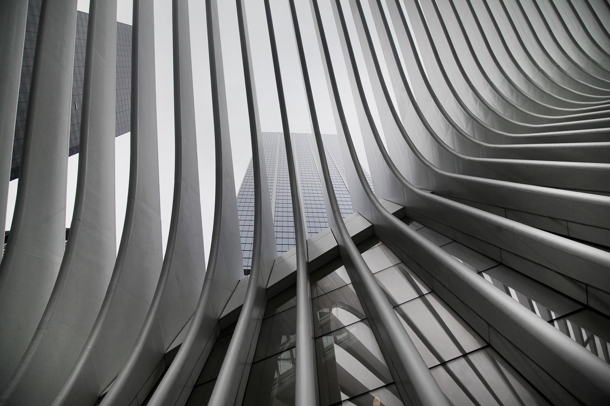 beautiful-black-white-upshot-new-york-city-subway-s-wtc-cortlandt-station-k-oculus-min.jpg